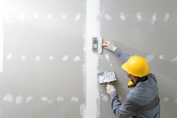 Best Drywall Crack Repair  in Caryville, TN